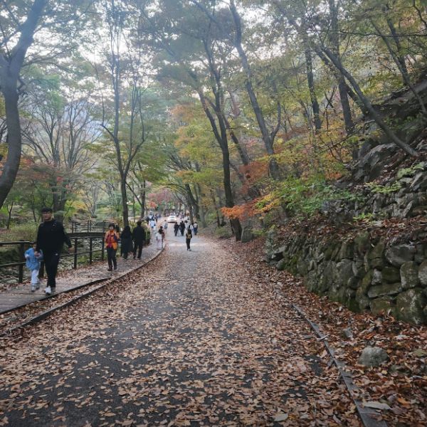 동학사계곡