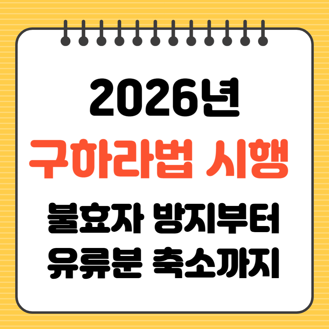 2026년 구하라법 시행 불효자 방지부터 유류분 축소까지