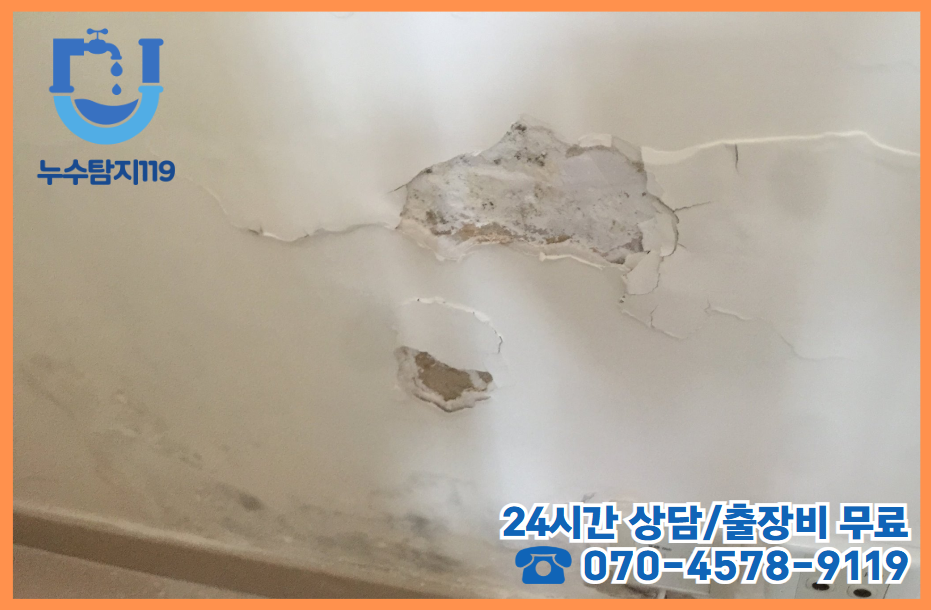 관저동 아파트, 빌라, 상가2