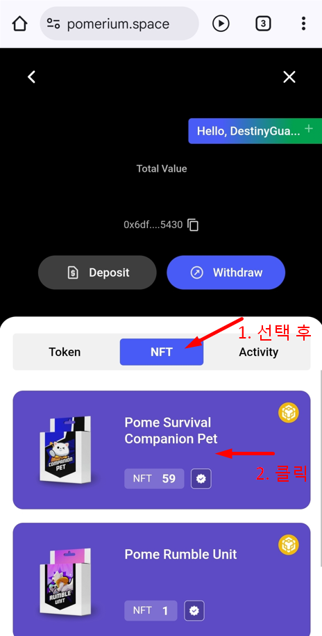 포메리움 NFT 지갑으로 내보내기9