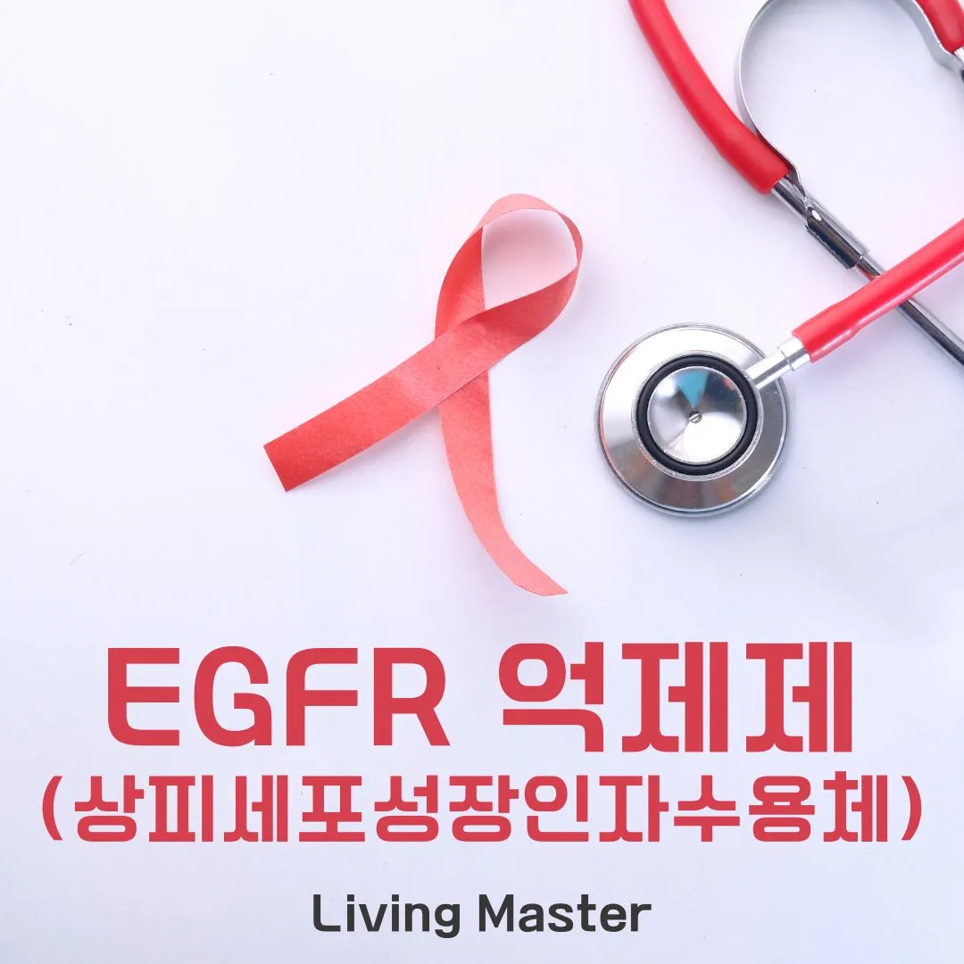 EGFR(상피세포성장인자수용체) 억제제