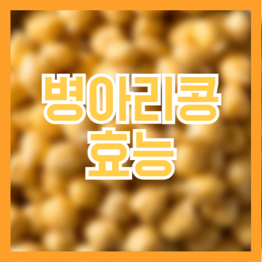 병아리콩 효능 6가지 영양성분 건강상 이점 체크!