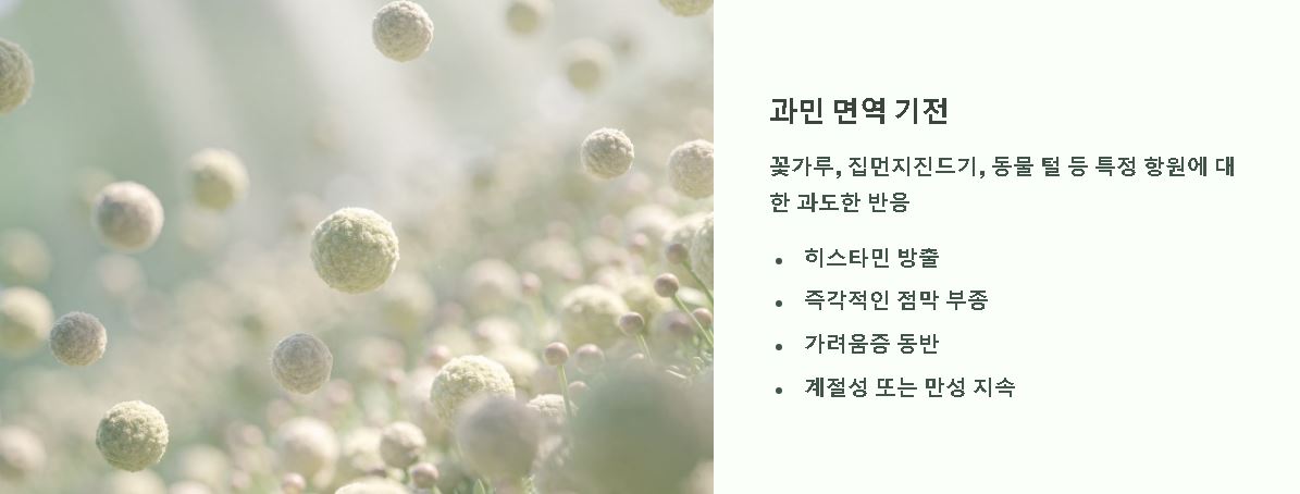 코막힘 원인 알아보기
