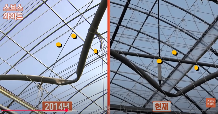 진주 운석의 신비