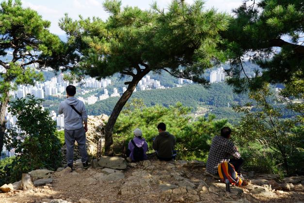 전망대(정상) 바위에 앉아 쉬고 있는 네 사람, 남 3, 여 1, 명품 소나무 사이로 산아래 보이는 아파트