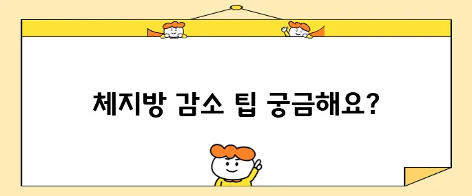 체지방 감소를 위한 10가지 방법 계산기