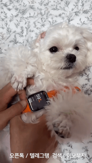 경제뉴스 부동산뉴스 8월21일 신문스크랩 움짤