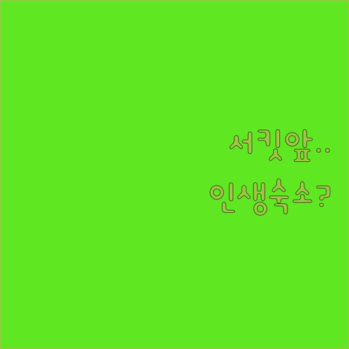 서킷 근처에서 완벽한 하룻밤을 보낼 ..