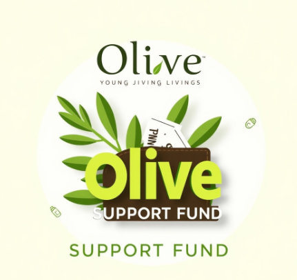 올리브영민생지원금그림