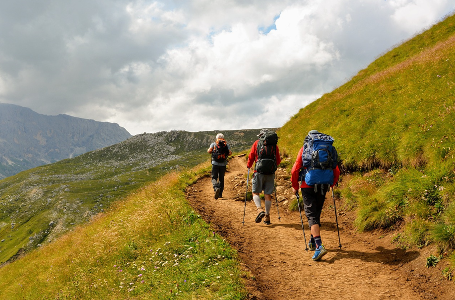 봄맞이 둘레길 비교 관련 사진