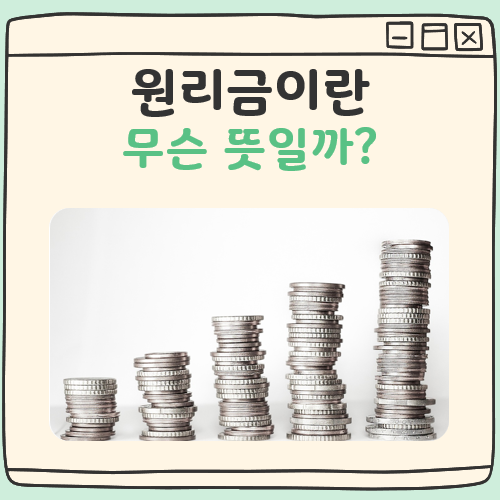 원리금 이란 대표 이미지