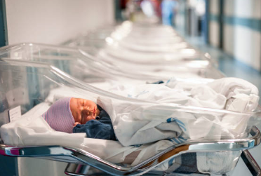 고용보험 미적용자 출산급여