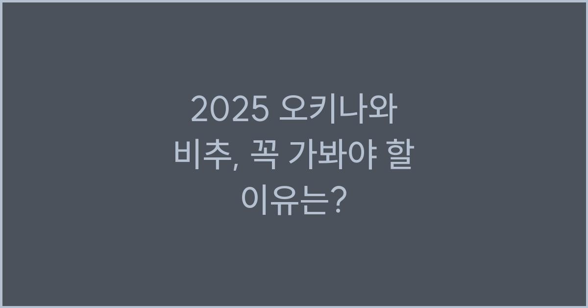 2025 오키나와 비추