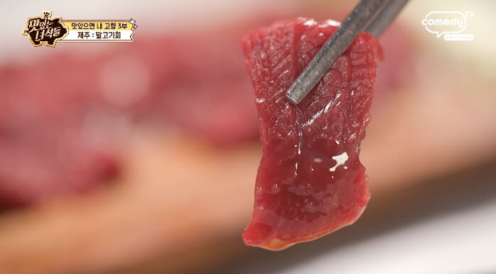 맛녀석-말고기회