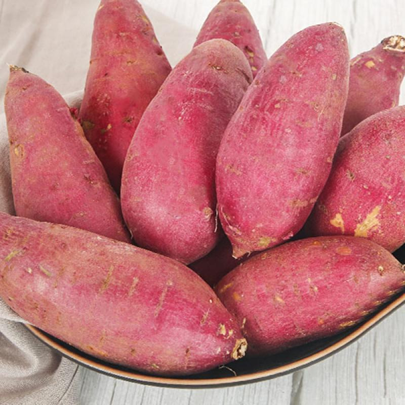 해남-고구만-건강식