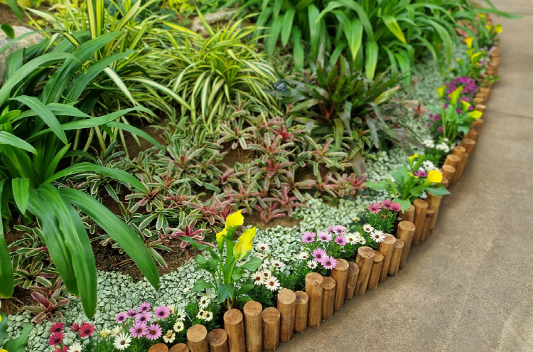 부천호수식물원 수피아