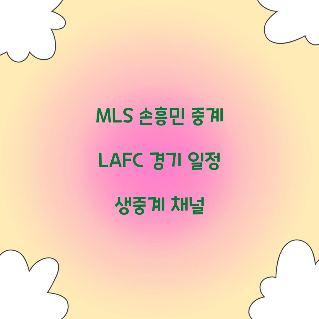 MLS 손흥민 중계