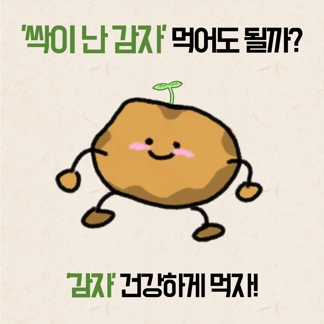 싹이난감자