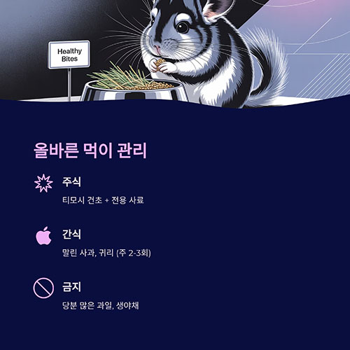 먹이와 급여 방법