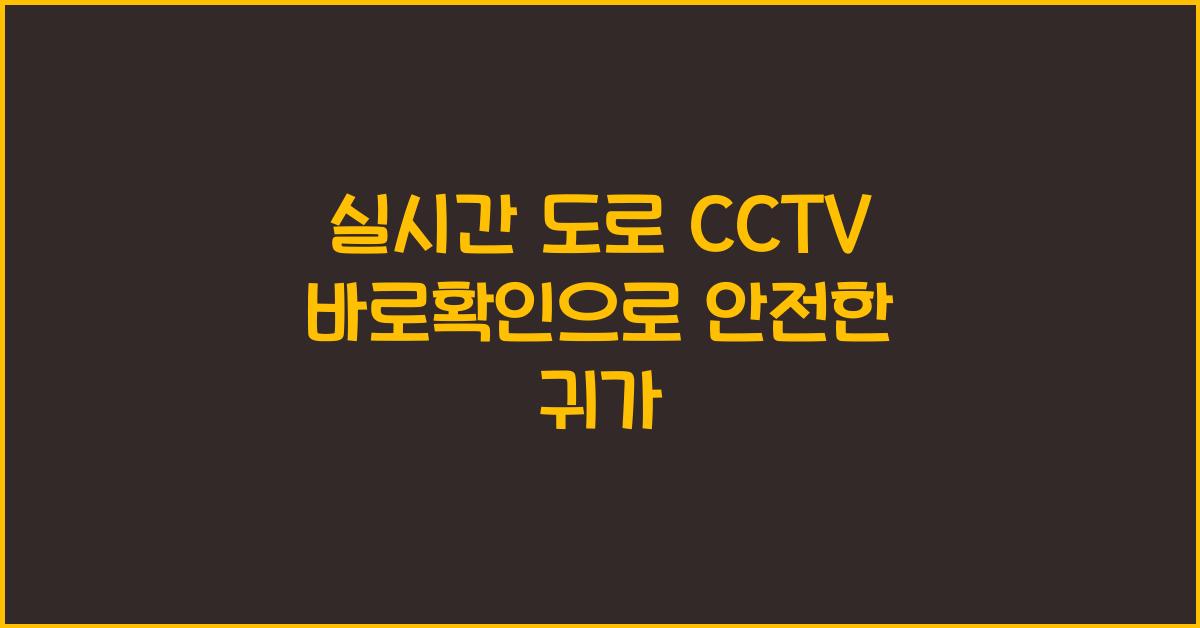실시간 도로 cctv 바로확인