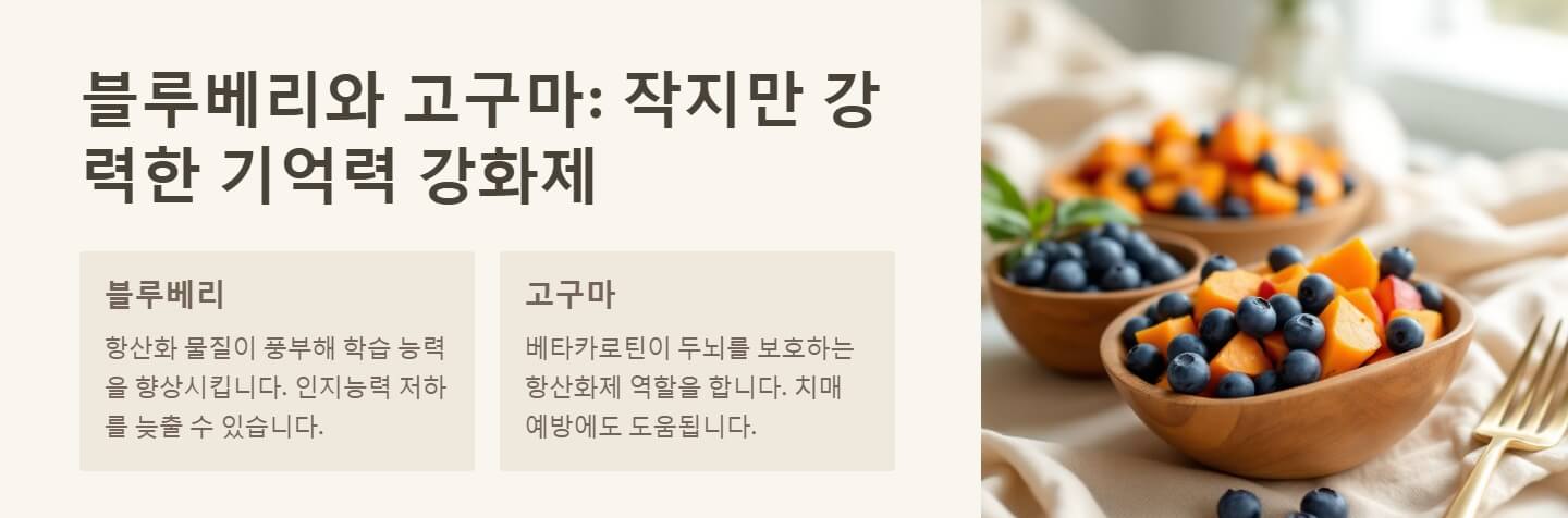 기억력 좋아지는 방법 음식