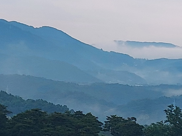 구름정원길