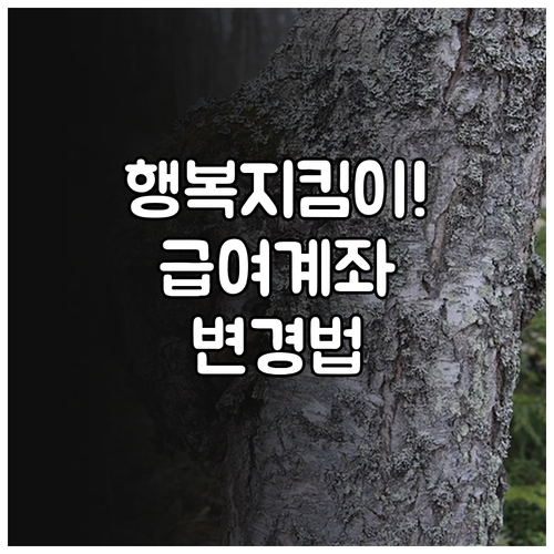 새마을금고 행복지킴이통장 개설 절차 ..