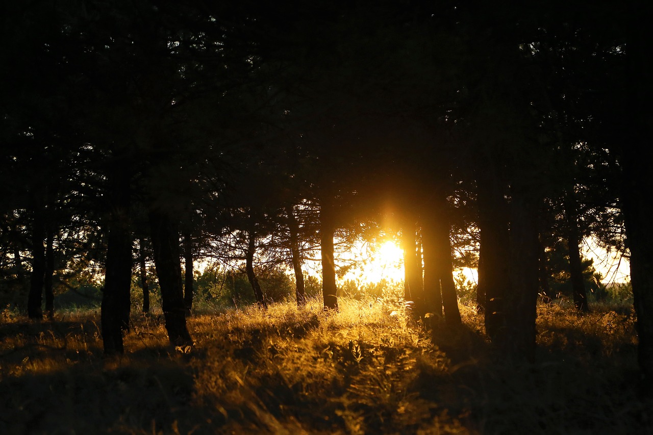 농업경영체등록 확인서 발급