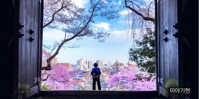 일본 전통 사원의 커다란 두개의 문이 활짝 열린채 문밖의 나무와 빌딩과 자연의 일본 풍광이 펼쳐져 있는데 한 관광객이 내려다보고 있다.