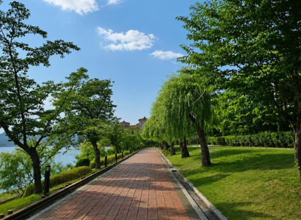 경주 보문호 둘레길 열두 주 복귀 기록이 몸에 준 회복