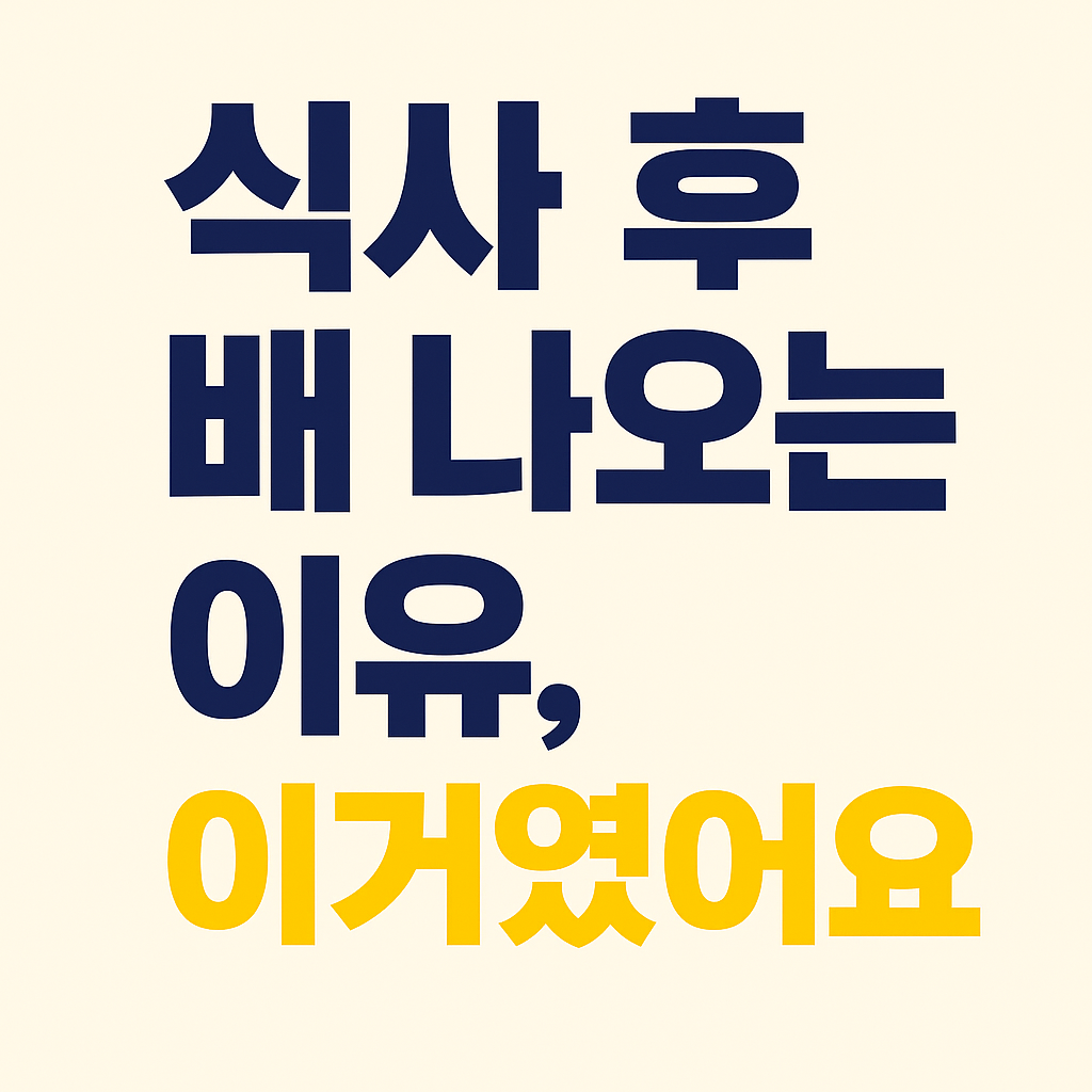 식사 후 배 나오는 이유