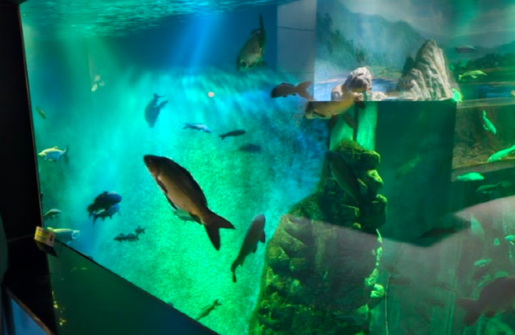 단양 아쿠아리움