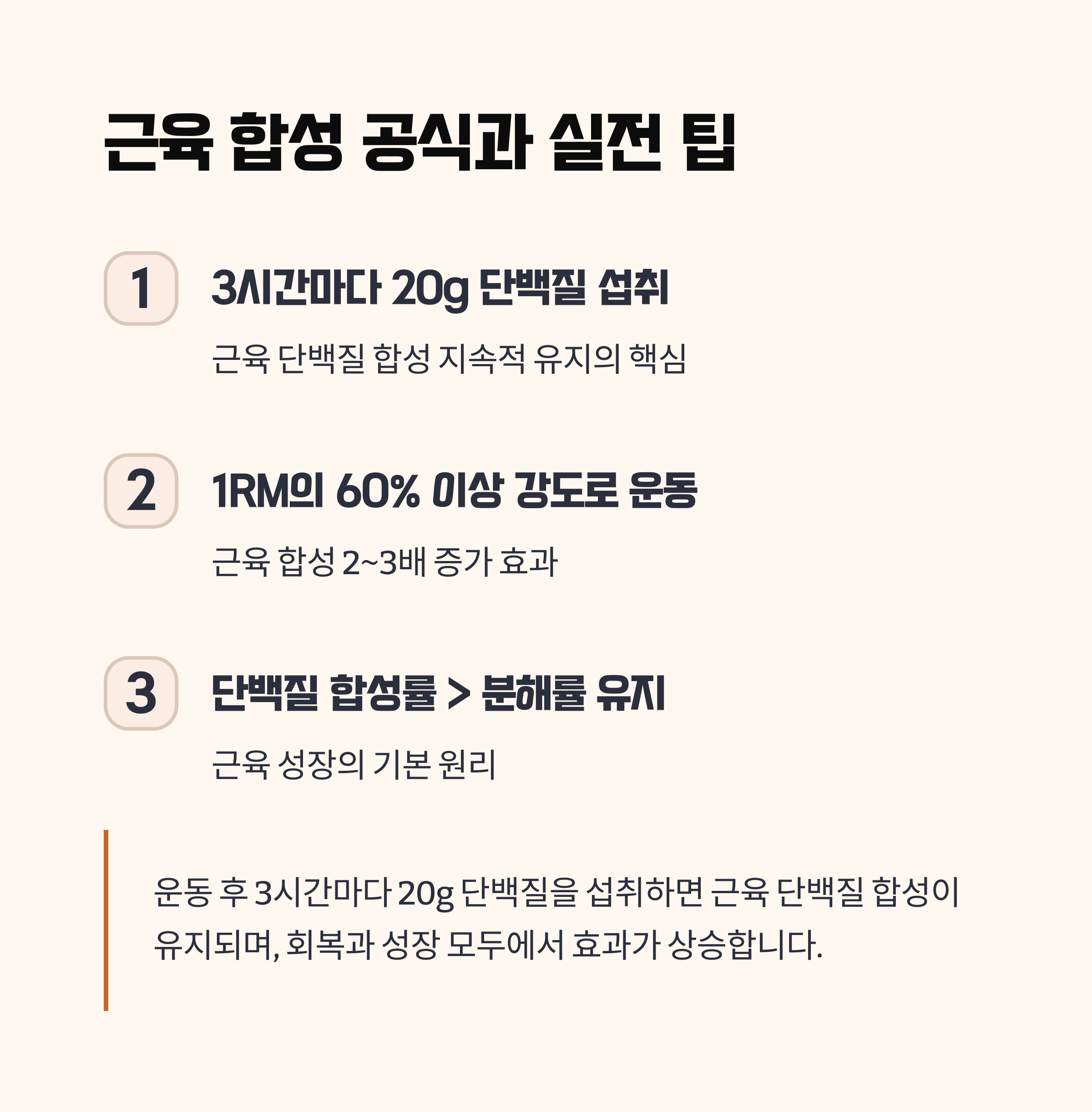 실전 팁과 근육 합성 공식
