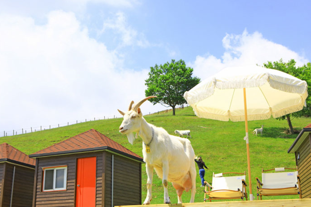 기차여행 1박2일 여행지 추천