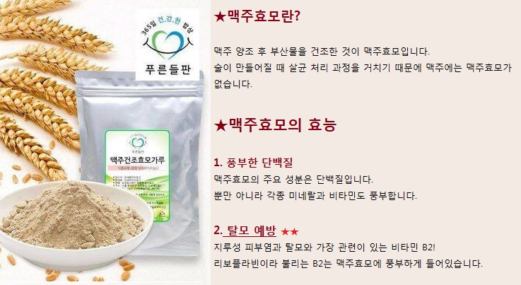 맥주효모와 효능에 관한 설명 이미지