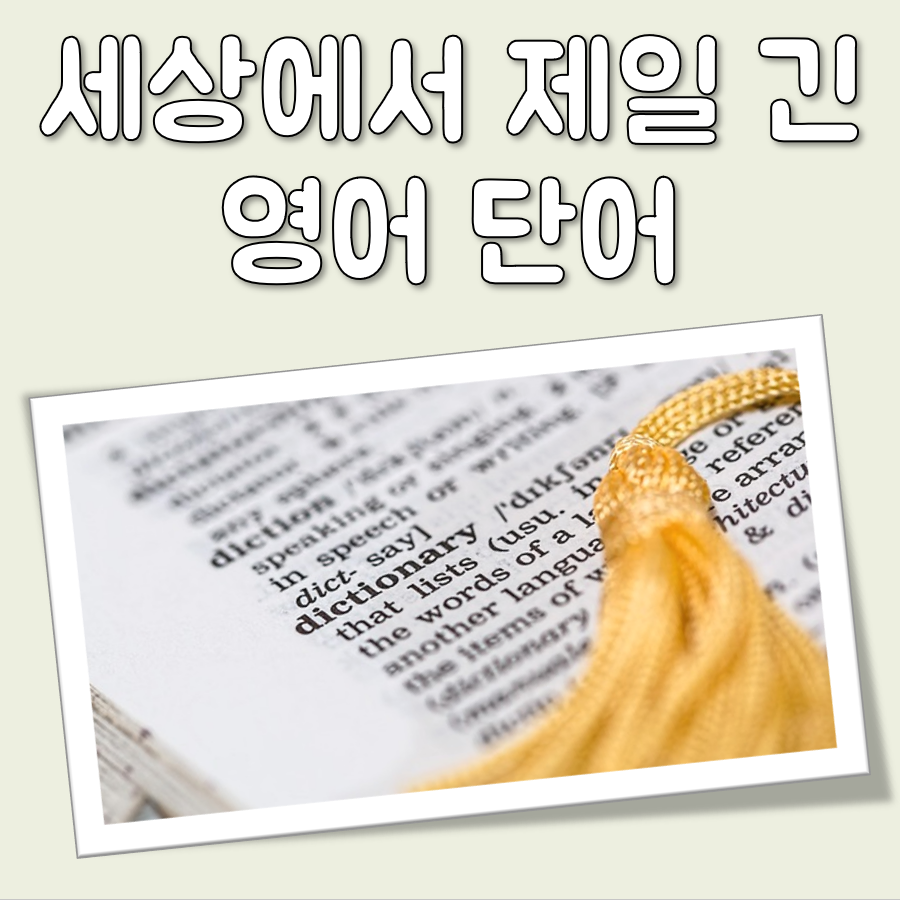 세상에서 제일 긴 영어단어 대표 이미지