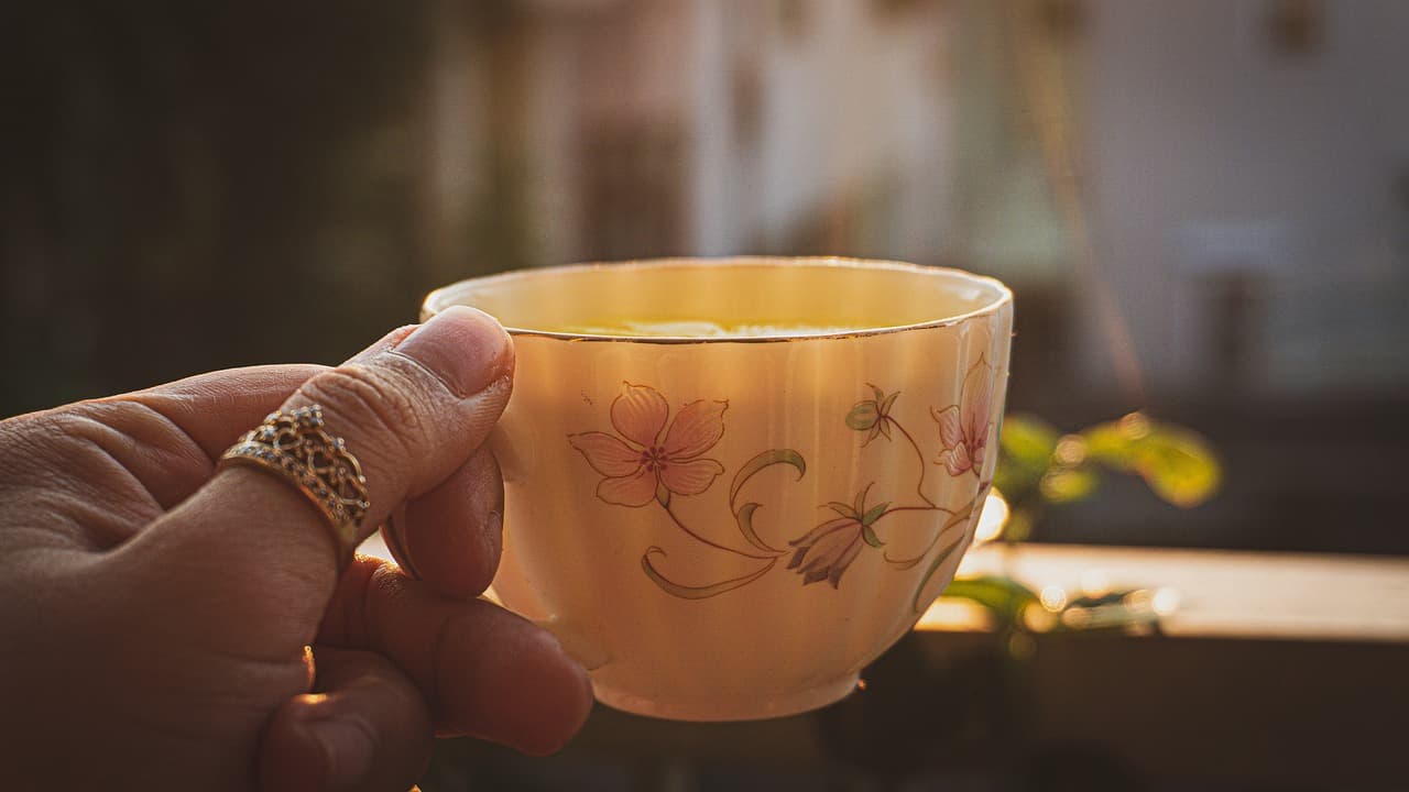 페퍼민트 키우기