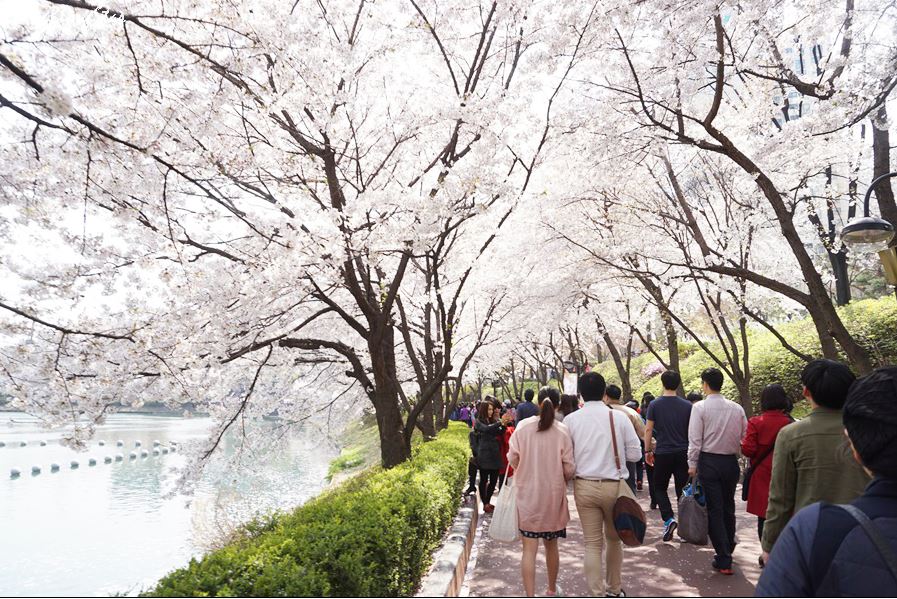 여의도 석천호수