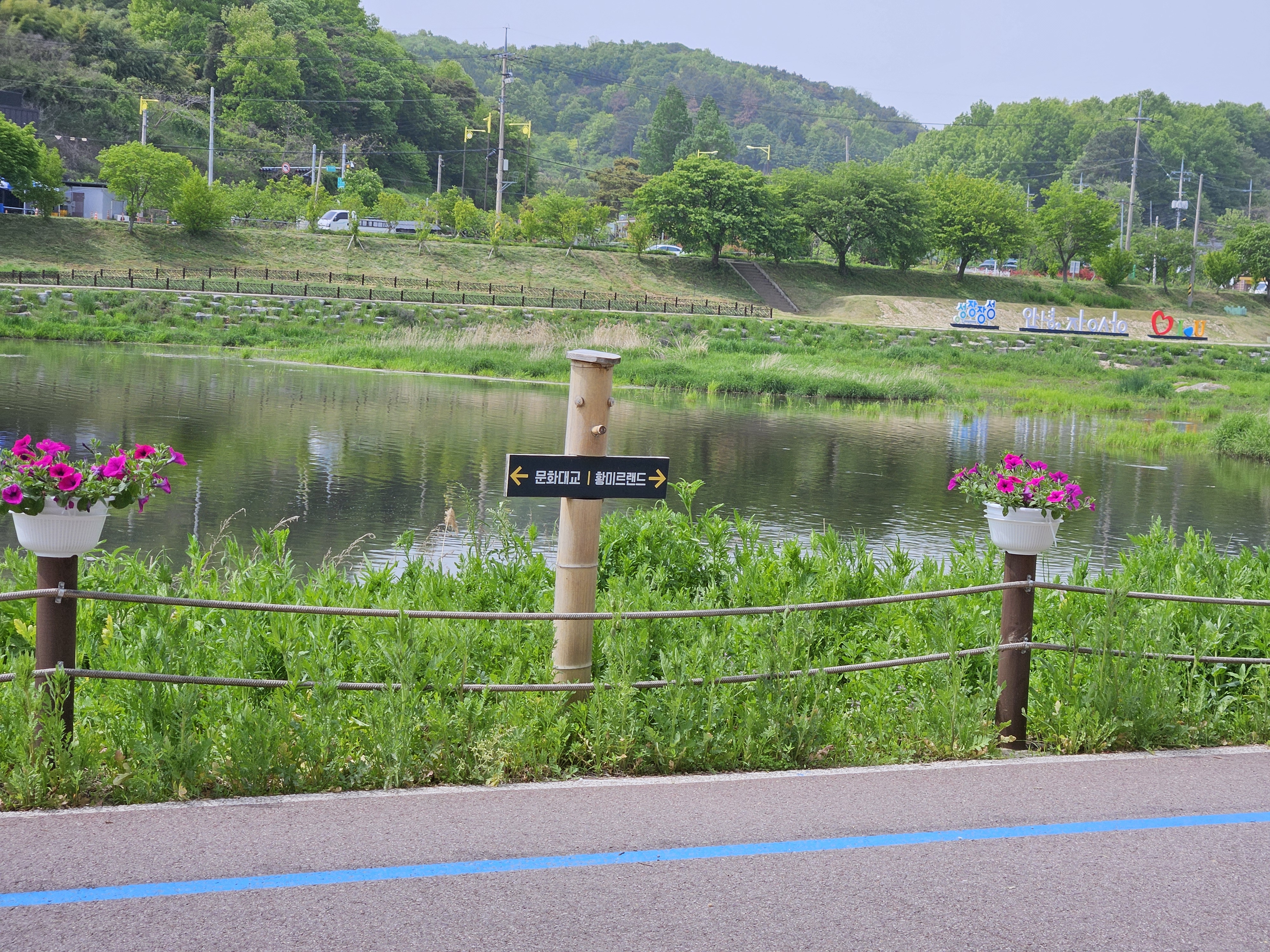 장성 황룡강 꽃길축제 임박! 스탬프 투어부터 뮤직페스티벌 특별석까지!