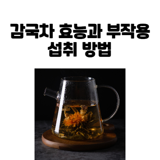 감국차 효능과 부작용 및 섭취 방법