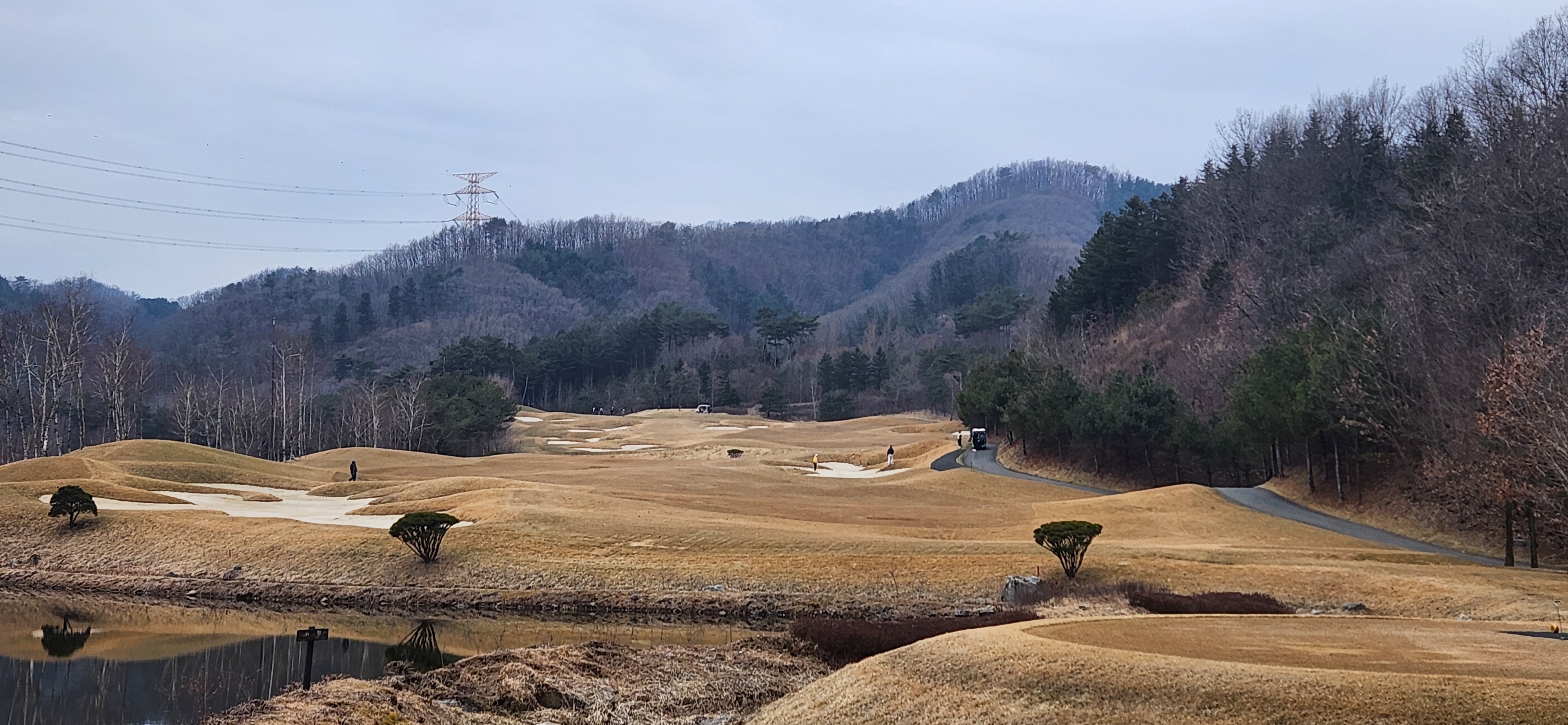 힐드로사이cc