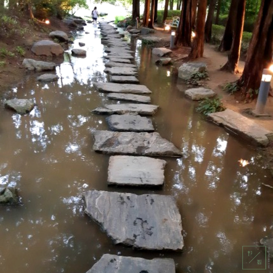 비가 와서 징검다리 아래 물이 흙탕물이 되었습니다.