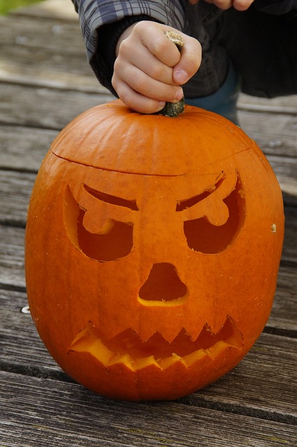 2025 하남 신장동 길막고 할로윈