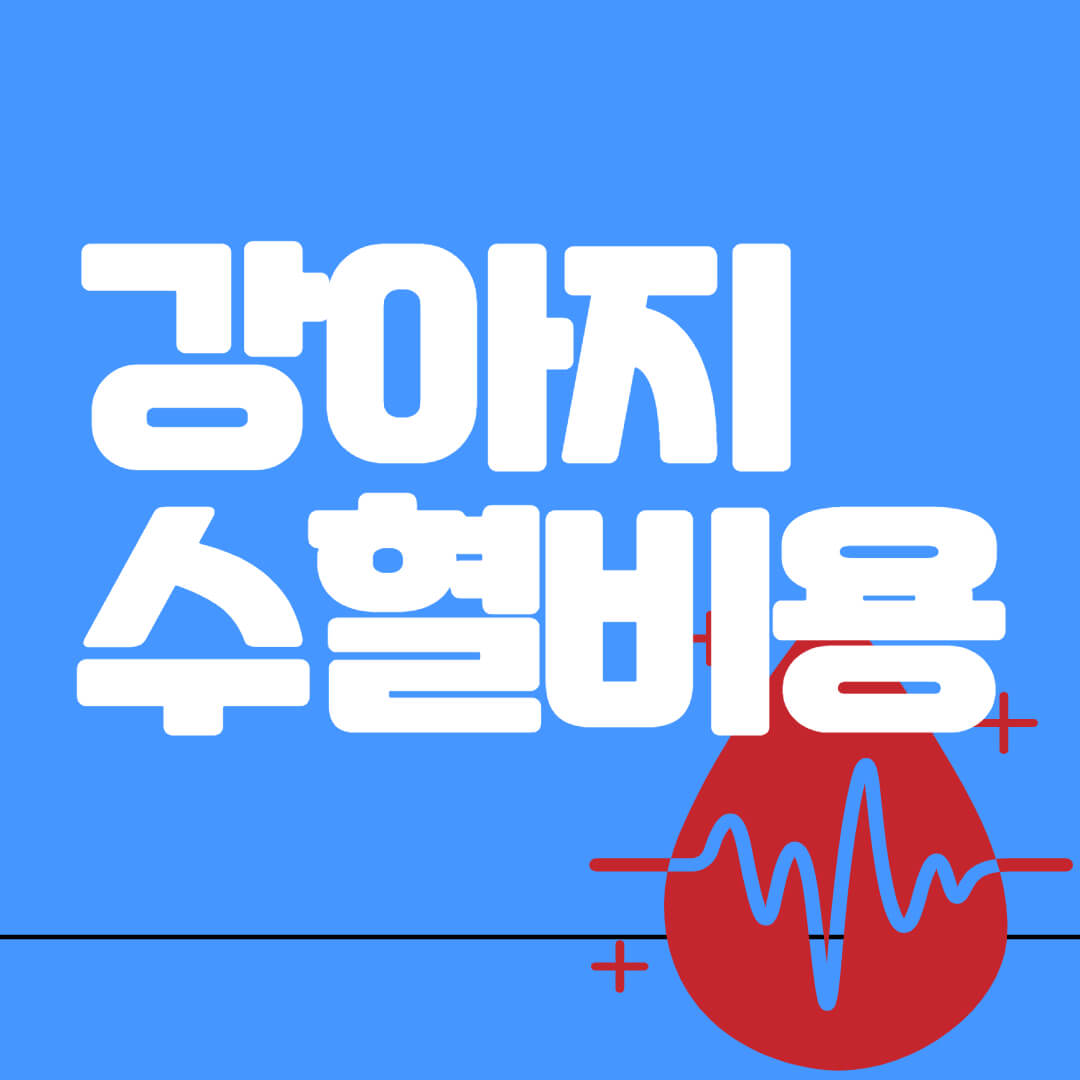 강아지수혈비용
