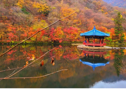 내장산 국립공원