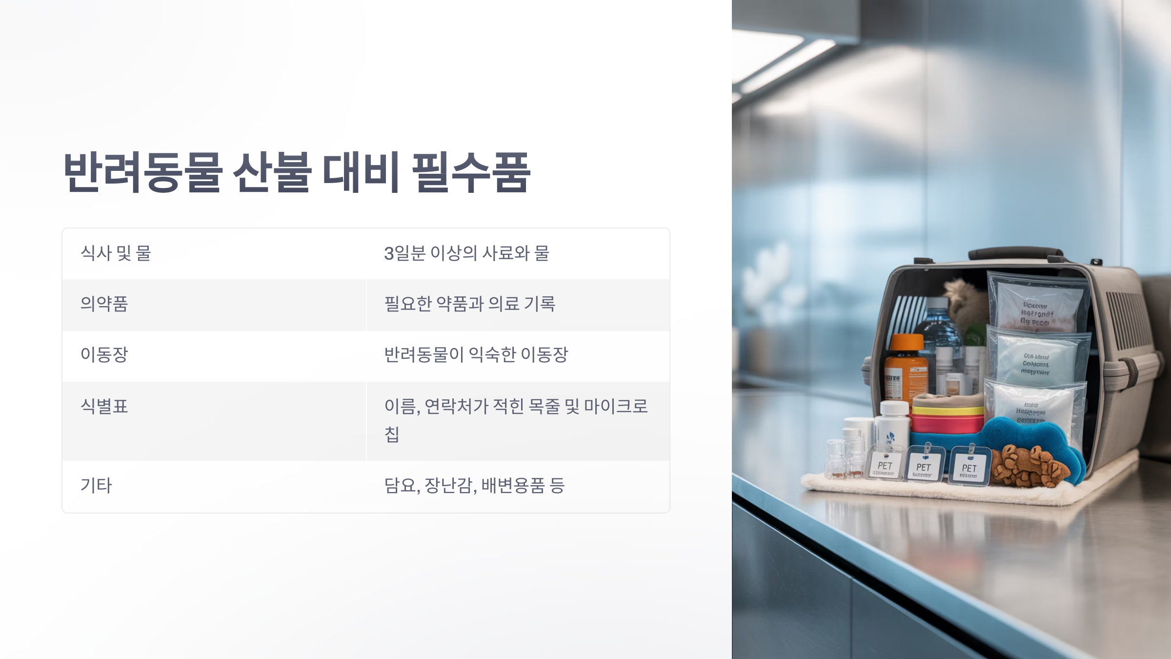 참조-반려동물-산불피해-3