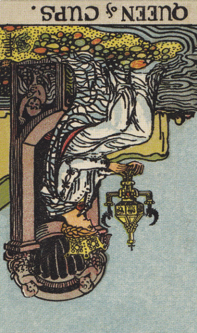 컵 여왕 역방향