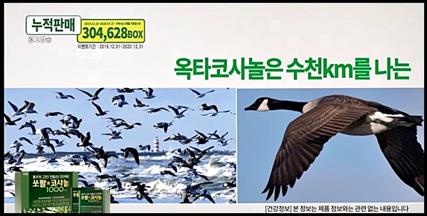 쏘팔코사놀 효능 부작용 핵심정리