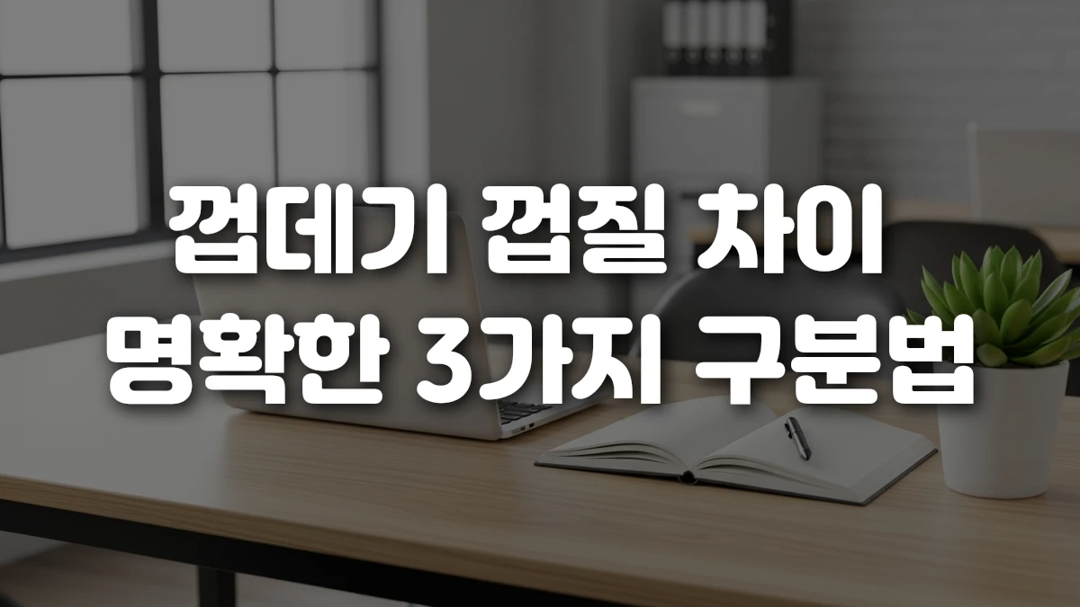 껍데기 껍질 차이 명확한 3가지 구분법