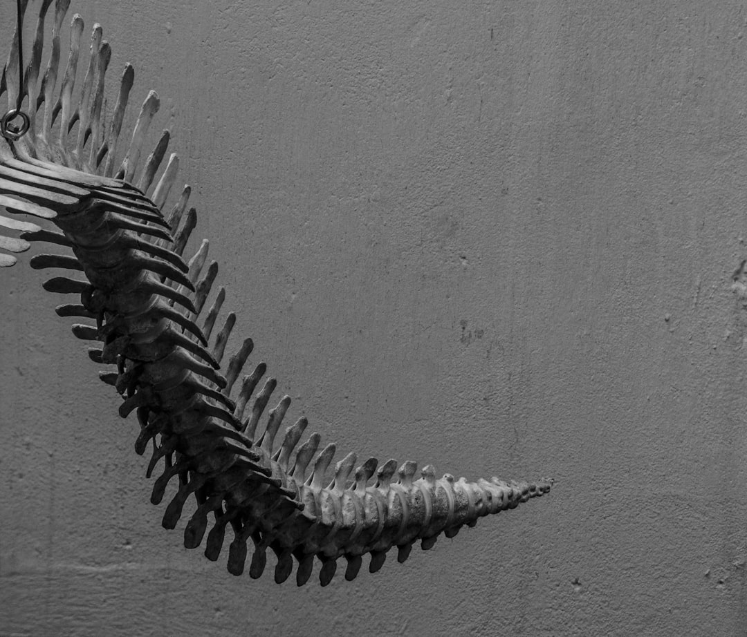 Serpent